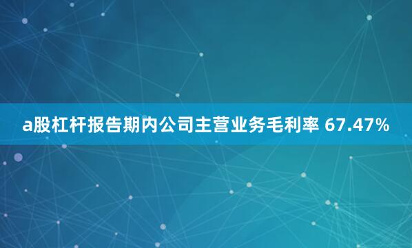 a股杠杆报告期内公司主营业务毛利率 67.47%